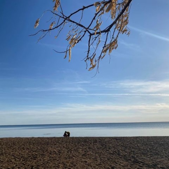 Profile Picture of Sopheap Sok (@sopheapsok1975) on Poshmark