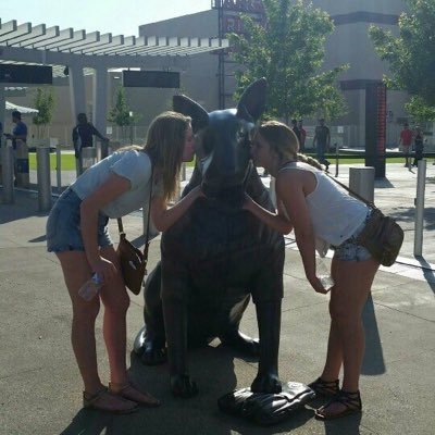 Profile Picture of Megan (@megan_stroh) on Twitter