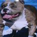 Profile Picture of Stephen Kowalewski (Gunboy's Bullies) (@stephen.kowalewski.58) on Facebook