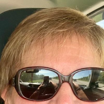 Profile Picture of Ana Jarosz (@AniFL) on Twitter