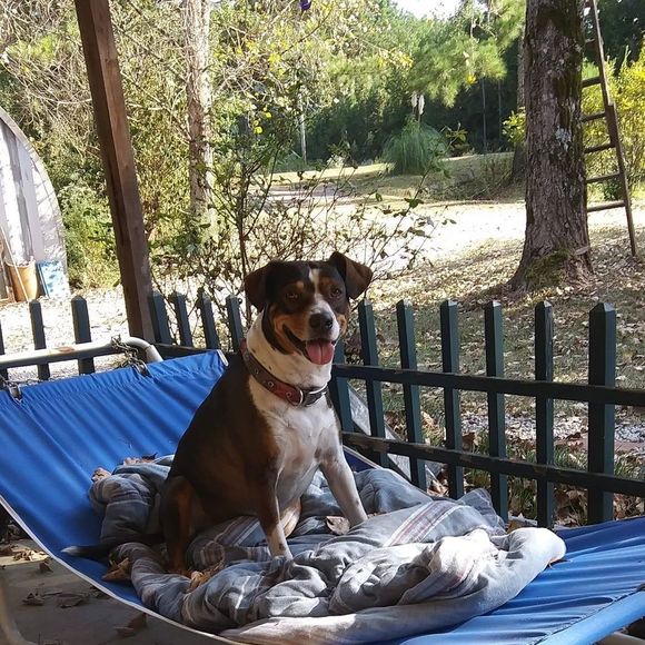 Profile Picture of John Cope (@sammycag) on Poshmark