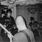 Profile Picture of COMMANDER SALAMANDER (@cdrsalamander) on Instagram