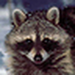 Profile Picture of coleman.pat (@coleman.pat) on Flickr