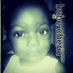 Profile Picture of danielpastore (@danielpastore11) on Instagram