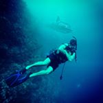 Profile Picture of Jeff Mendelsohn (@jdmendelsohn) on Instagram