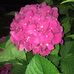 Profile Picture of Mary Scala (@mary.scala.583) on Facebook