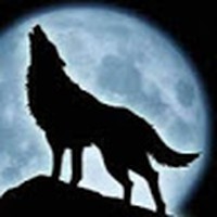 Profile Picture of Jade Janson (@jade-janson) on Quora