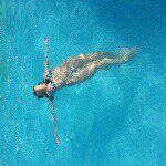 Profile Picture of Rafe Williams (@rafejvwilliamvb) on Instagram