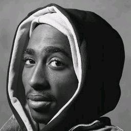 Albert Coli - Tiktok Profile Picture of Albert Coli (@albertcoli) on Tiktok