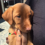 Kelly Paz - Youtube Profile Picture of Kelly Paz (@kellypaz3973) on Youtube