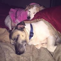 Profile Picture of Traci Hayes (@traci-hayes-8) on Quora