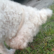 Jeffrey Bennett - Youtube Profile Picture of Jeffrey Bennett (@jeffreybennett1617) on Youtube