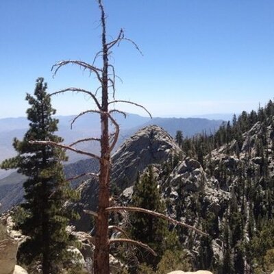 Profile Picture of Terence M. Grady (@TerenceMGrady) on Twitter