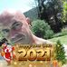 Profile Picture of Franck Jeanne (@franck.jeanne.161) on Facebook