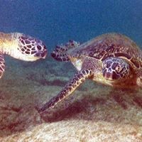 Profile Picture of Debra Graham (@debra-graham-22) on Quora