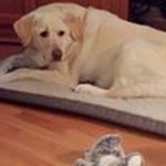 Profile Picture of Robin Conte Parrish (@conteparrish) on Instagram