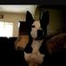 Profile Picture of Lori Reppert (@lori.reppert.142) on Facebook