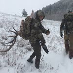 Tyler Gerber - Instagram Profile Picture of Tyler Gerber (@t_gerb) on Instagram