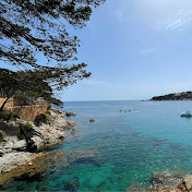 Profile Picture of Christopher Pierce (@christopherpierce3113) on Youtube