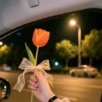 Profile Picture of Virginia Schneider (@Virginia-Schneider) on Facebook