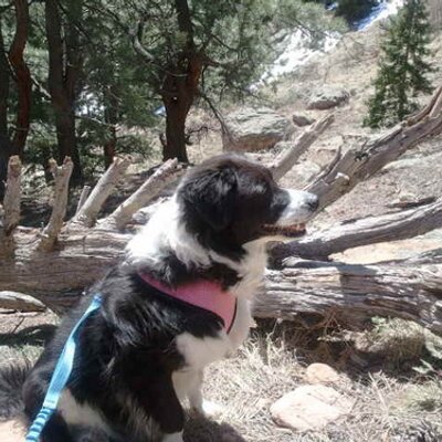 Profile Picture of Stacey Barron (@barron_stacey) on Twitter