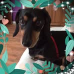 Profile Picture of Bette Walsh (@bette.walsh.376) on Facebook