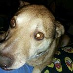 Profile Picture of Barton Day (@bartimus07) on Instagram