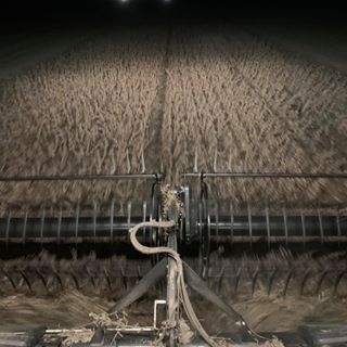 Profile Picture of Daniel Spruill (@Daniel-Spruill) on Facebook