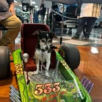 Profile Picture of Rob Wallschlaeger (@rob.wallschlaeger) on Facebook