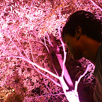 Profile Picture of 阿 里 (@huang a li) on Flickr