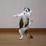 Profile Picture of Ken Matsui (@ken.matsui.5815) on Instagram