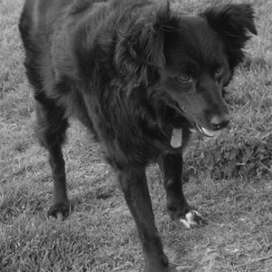 Profile Picture of Adam Vasiliadis (@adam_photos) on Myspace