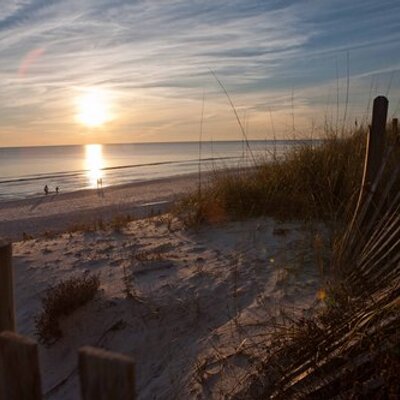 Profile Picture of David Sibley (@DaveSibleyPhoto) on Twitter