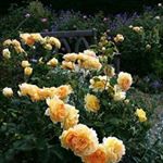 Profile Picture of Thomas fendryk (@fendryk_thomas120) on Instagram