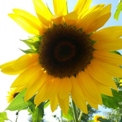 김은경 EUNKYUNG KIM - Twitter Profile Picture of 김은경 EUNKYUNG KIM (@bbang_nye) on Twitter