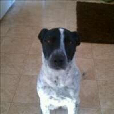 Profile Picture of Jacob Schott (@TPMSchott) on Twitter