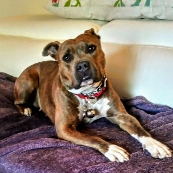 Profile Picture of Alex Tucker (@alexisawsome768) on Poshmark