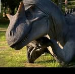 Profile Picture of Ayden McWilliams (@ayden.mcwilliams.735224) on Facebook