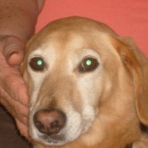 Daniela Salinas - Myspace Profile Picture of Daniela Salinas (@349609591) on Myspace