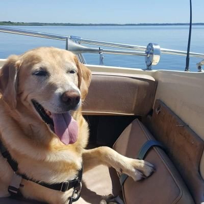 Profile Picture of Stuart Spalding (@fireman4416) on Twitter