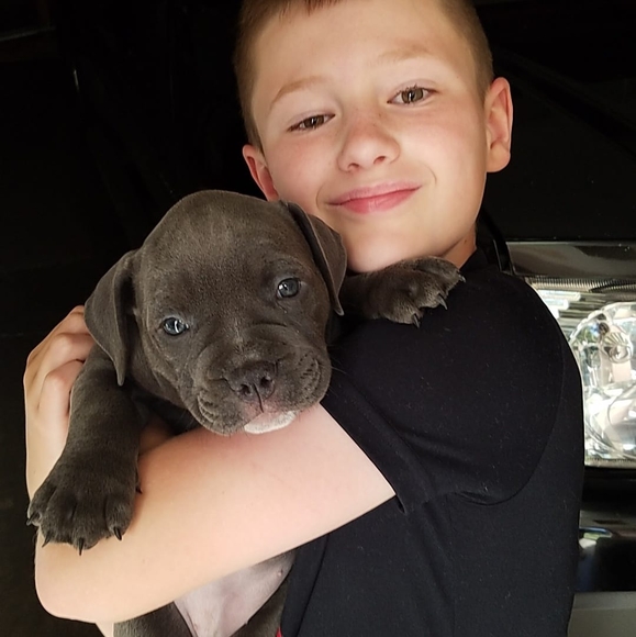 Profile Picture of Troy Layton (@troylayton) on Poshmark