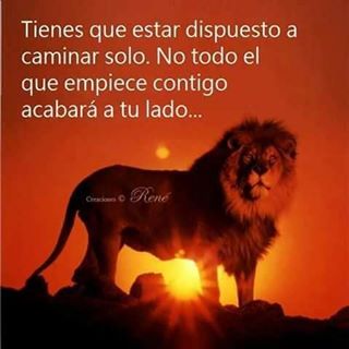 Profile Picture of Victor Santis (@victor.santis.773) on Facebook