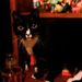 Profile Picture of Bonnie Bernard (@bbernard2112) on Pinterest