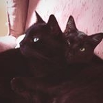 Profile Picture of Shawn T (@bearingthorns2018) on Instagram