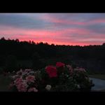 Profile Picture of Eric Krochmal (@erickrochmal) on Instagram