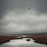 Profile Picture of Guillermo Hernandez (@guillermohz) on Flickr