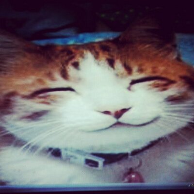 Profile Picture of Savannah Baca (@Directioner5962) on Twitter