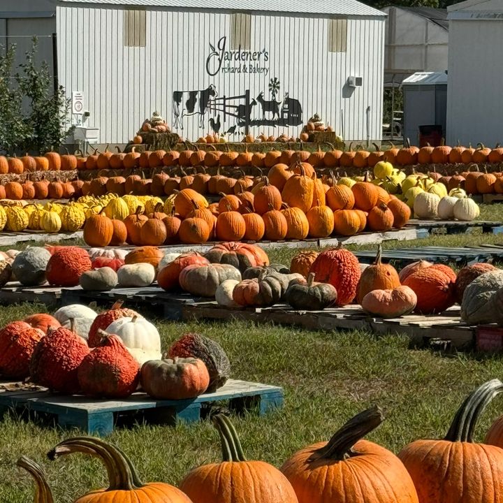 Profile Picture of   Farmer Dre (@farmerdre)... (@farmerdre) on Tiktok