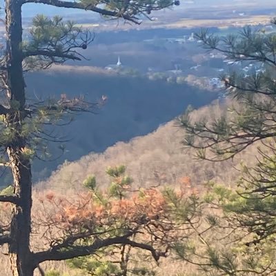 Profile Picture of Seth Mccullough (@SethMcculloug20) on Twitter