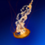 Profile Picture of Subir Singh (@my picture all around) on Flickr